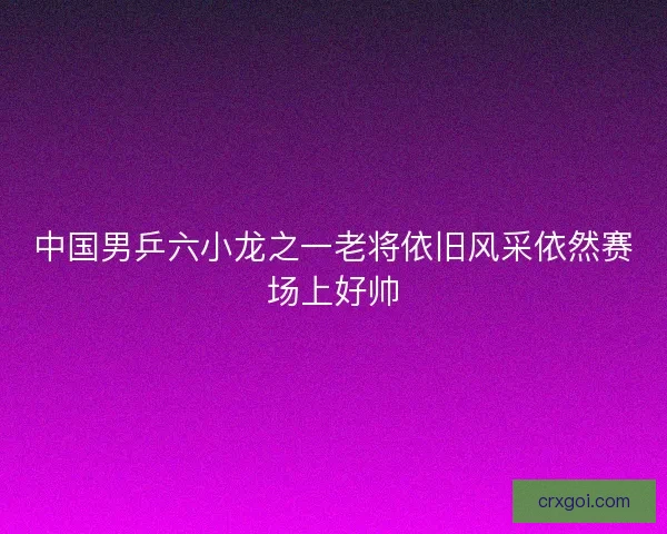 中国男乒六小龙之一老将依旧风采依然赛场上好帅