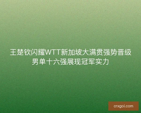 王楚钦闪耀WTT新加坡大满贯强势晋级男单十六强展现冠军实力 王楚钦闪耀WTT新加坡大满贯强势晋级男单十六强展现冠军实力