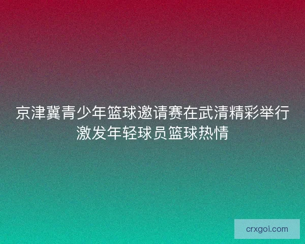 京津冀青少年篮球邀请赛在武清精彩举行激发年轻球员篮球热情 京津冀青少年篮球邀请赛在武清精彩举行激发年轻球员篮球热情