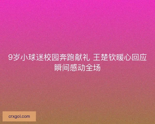 9岁小球迷校园奔跑献礼 王楚钦暖心回应瞬间感动全场 9岁小球迷校园奔跑献礼 王楚钦暖心回应瞬间感动全场